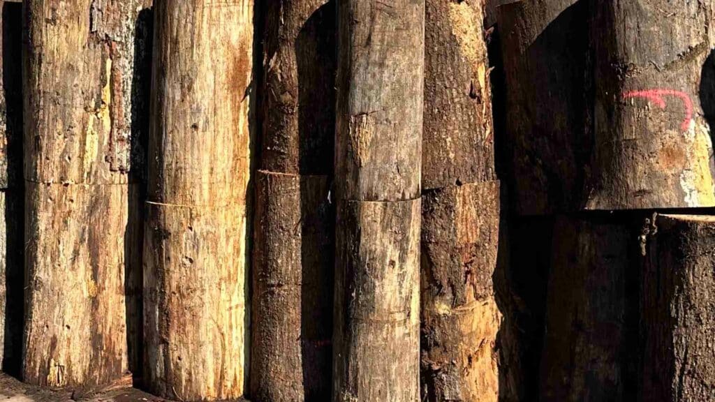 Sogibois : L'art de transformer le chêne en merrains d'exception